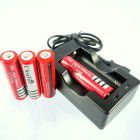Lithium Ion Rechargeable Battery and Charger