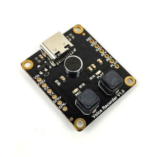 Voice Recorder Module