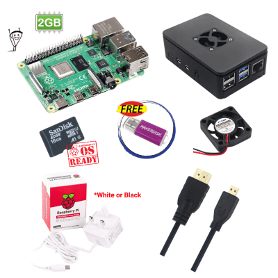 Raspberry Pi 4 Model B 2GB Basic Kit V2