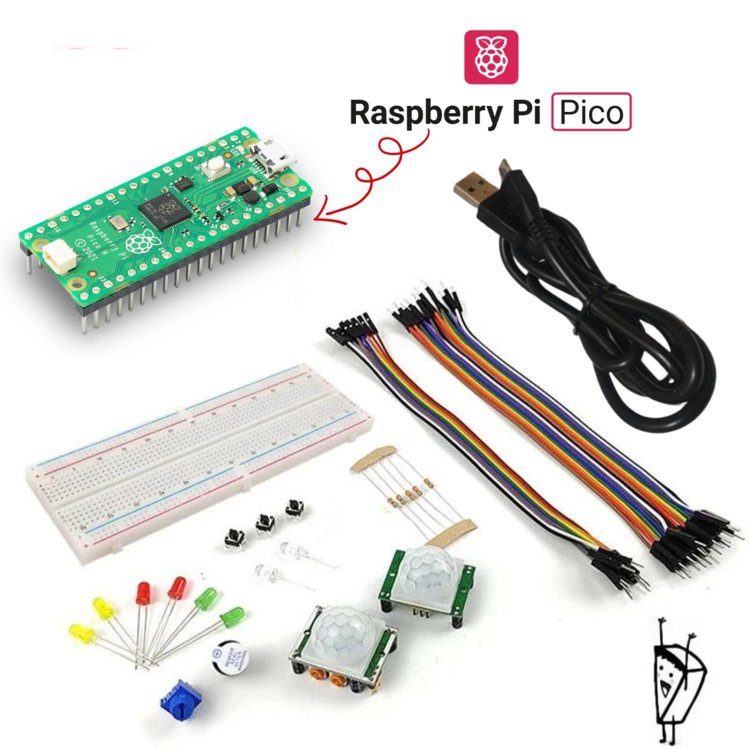 Raspberry Pi Pico/W/2 Basic Kits