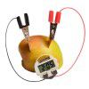 Copper & Zinc Plate Fruit Battery Experiment Kit