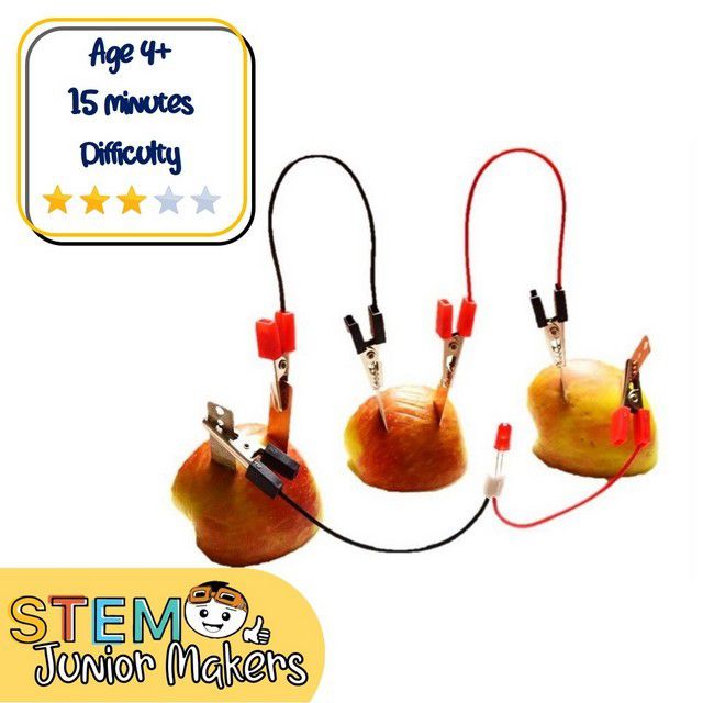 Copper & Zinc Plate Fruit Battery Experiment Kit