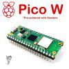 Raspberry Pi Pico Wireless - Pre-soldered Headers