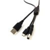 Dual Output Cable - USB A to 2.1mm DC Barrel & Micro USB