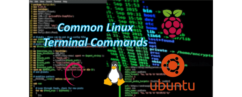 Common Linux Terminal Commands