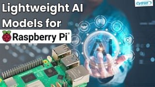 Exploring Lightweight AI Models for Raspberry Pi Applicat...