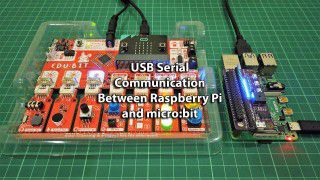 USB Serial Communication Using Raspberry Pi and Microbit