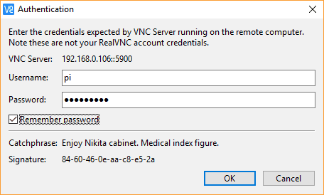 VNC Authentication