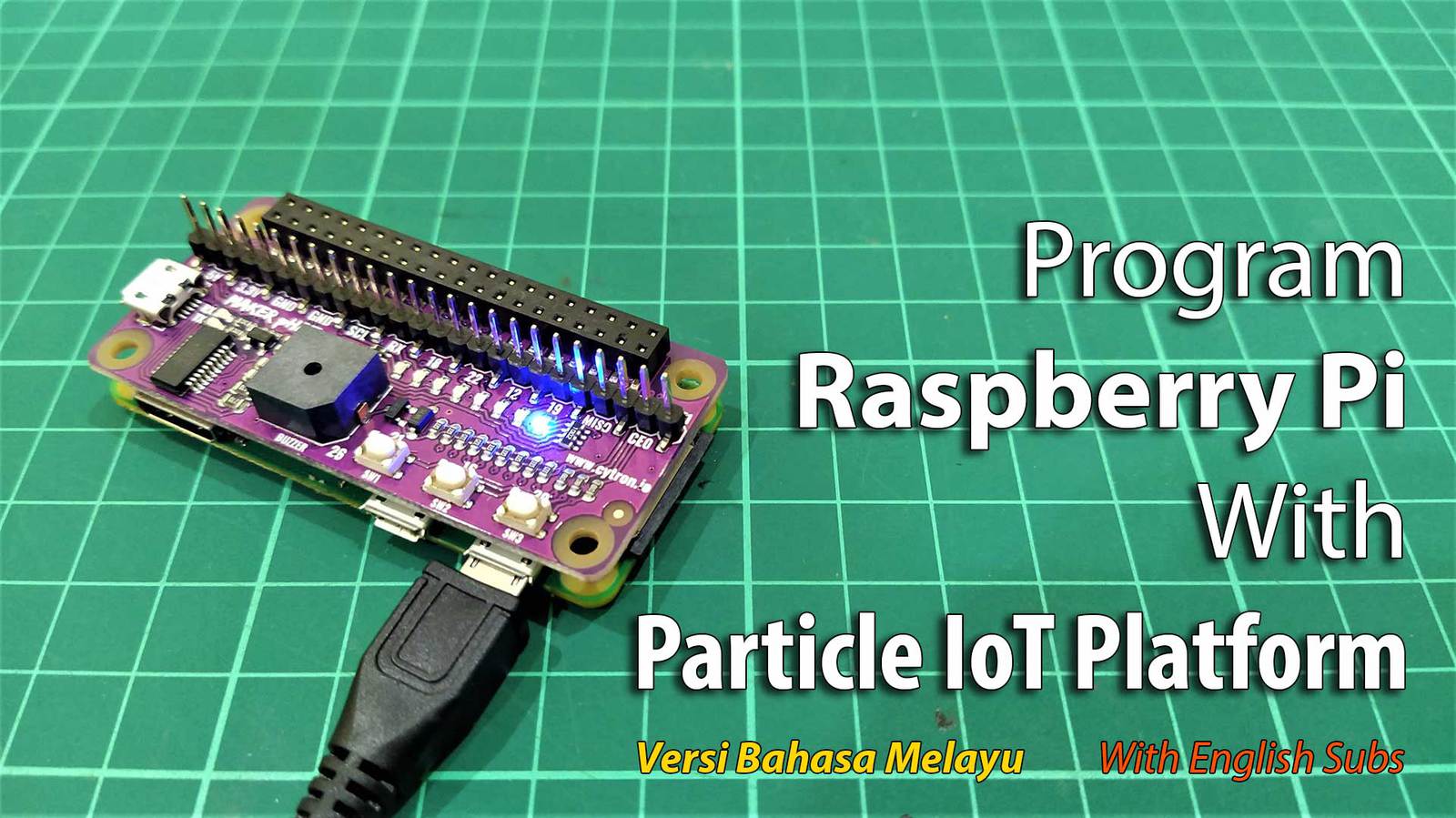 Program Raspberry Pi With Particle IoT Platform